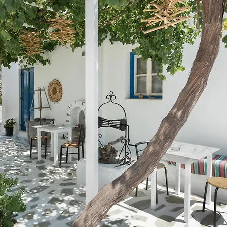 Apartment Politimis N6